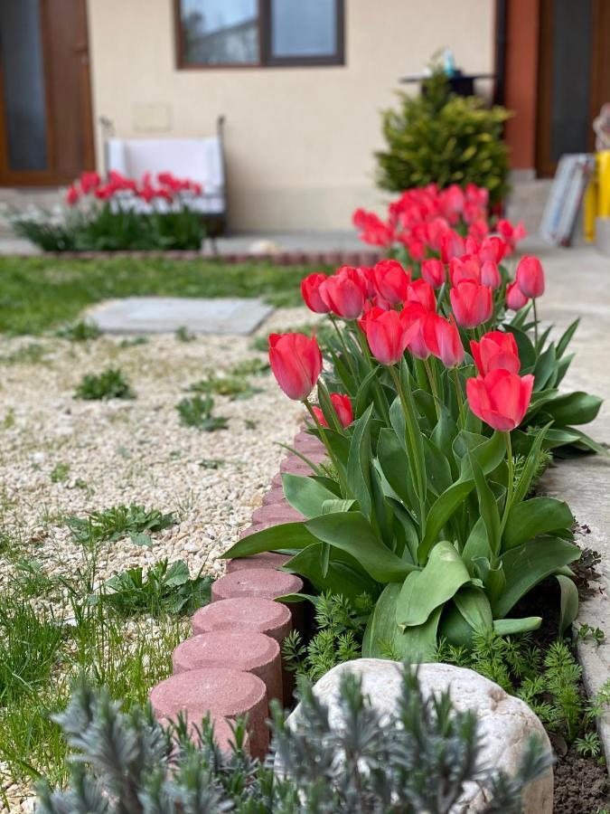 Casa Tudorascu Hotell Vama Veche Eksteriør bilde